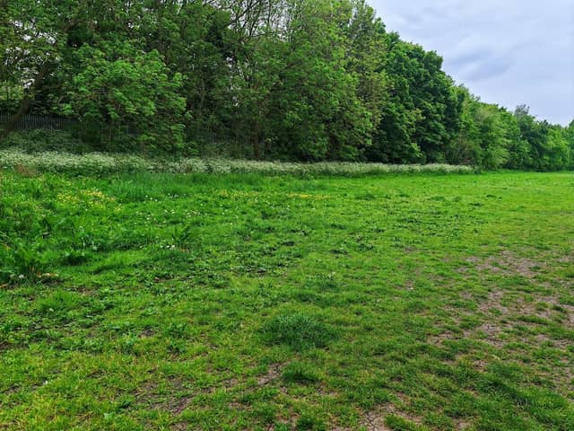 Jack Kaye's Field - Image 1