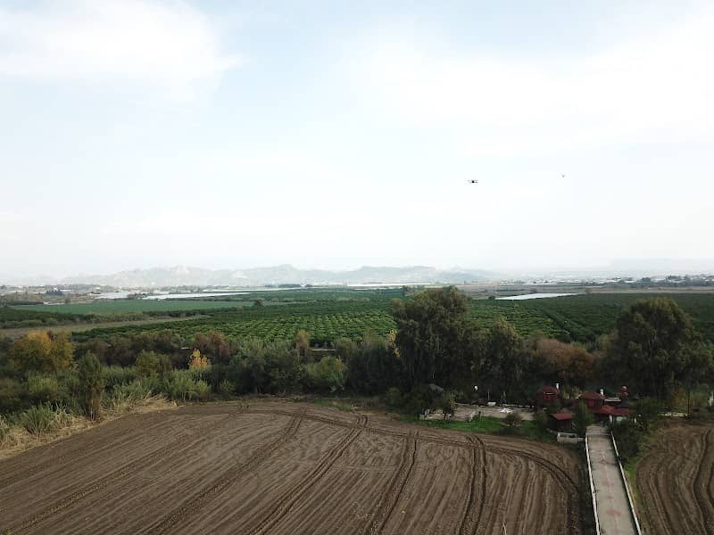 Melek Ciftligi - Image 1