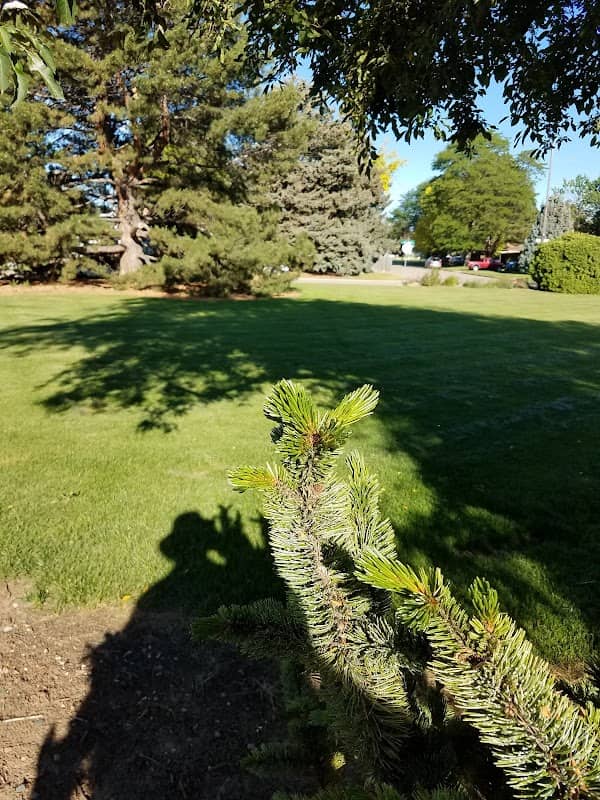 Loch Mount Park - Image 2