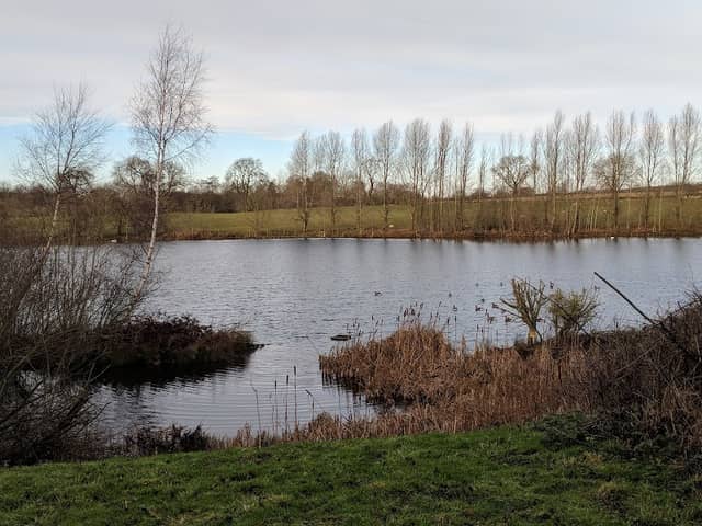 Marfield Wetlands - Image 2