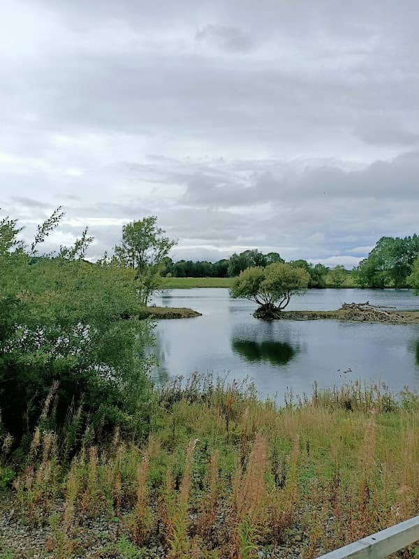 Marfield Wetlands - Image 1