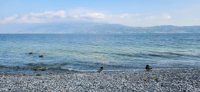 Spiaggia degli Ulivi - Image 1