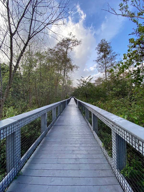 Tall Cypress Natural Area - Image 1