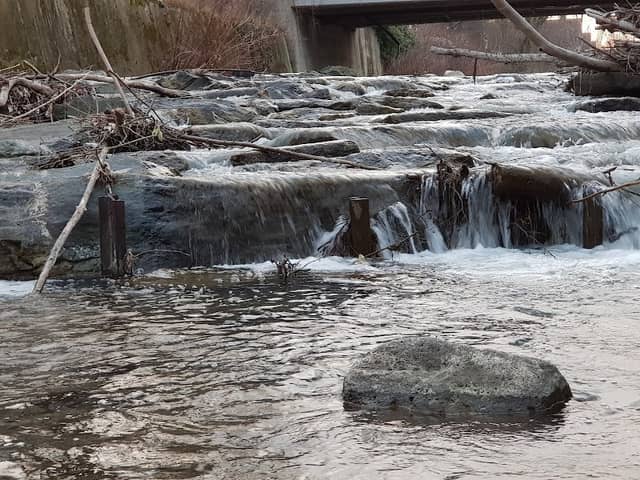Hundeauslaufzone Baden - Image 1