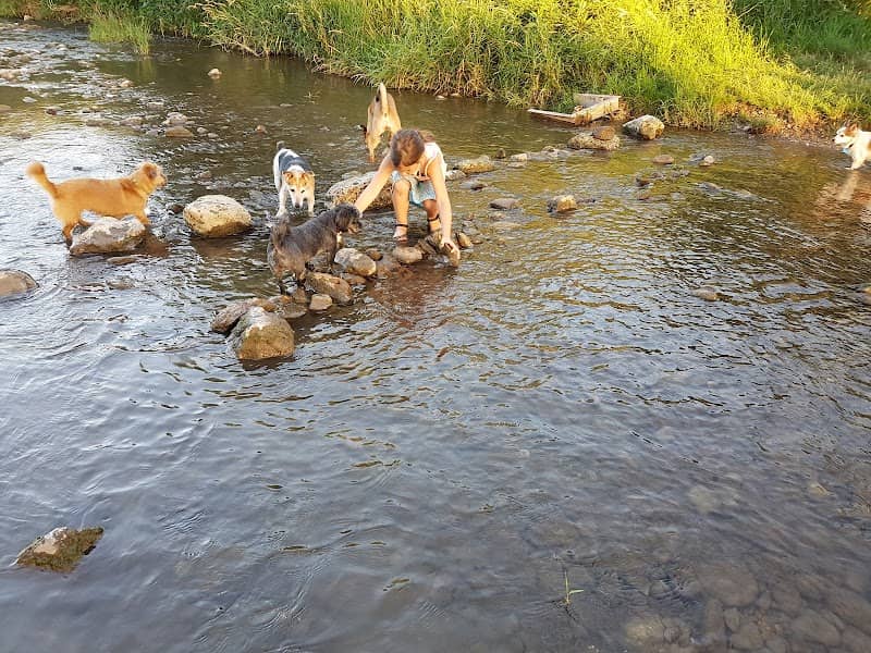 Hundeauslaufzone Baden - Image 1