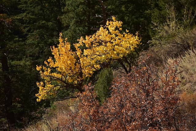 Scenic overlook - Image 2