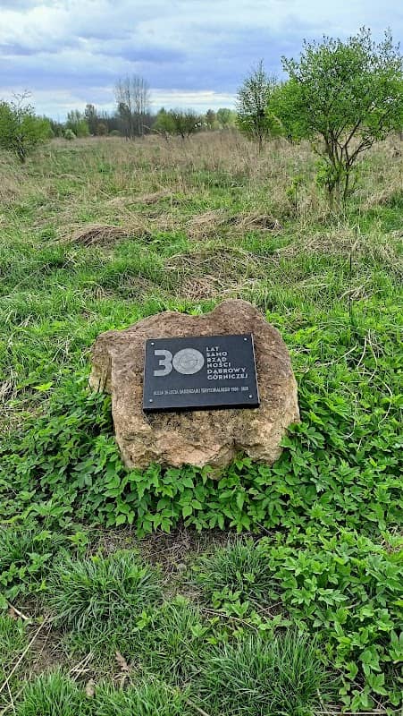 Pomnik 30 lat samorządności Dąbrowy Górniczej - Image 1