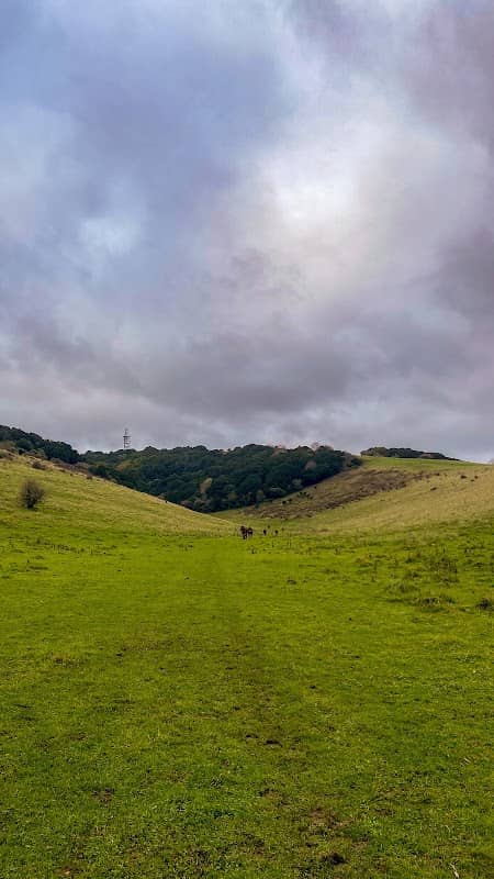 Butser Hill National Nature Reserve - Image 2
