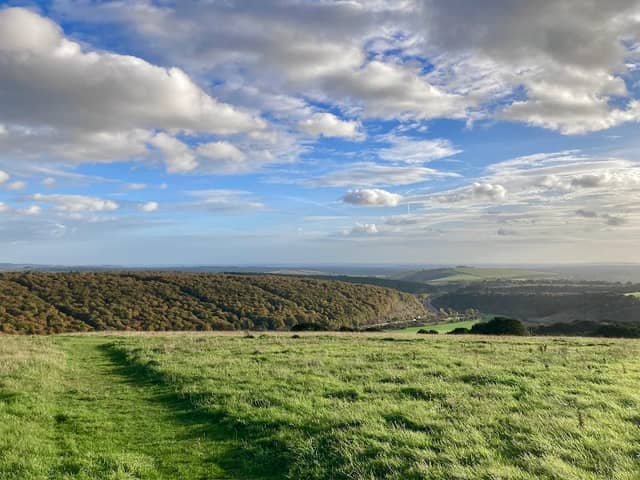 Butser Hill National Nature Reserve - Image 1