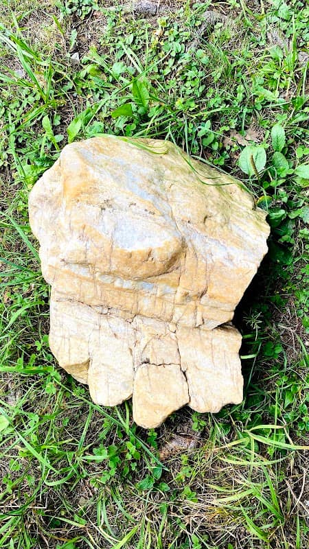 Der versteinerte Fuß - Image 2