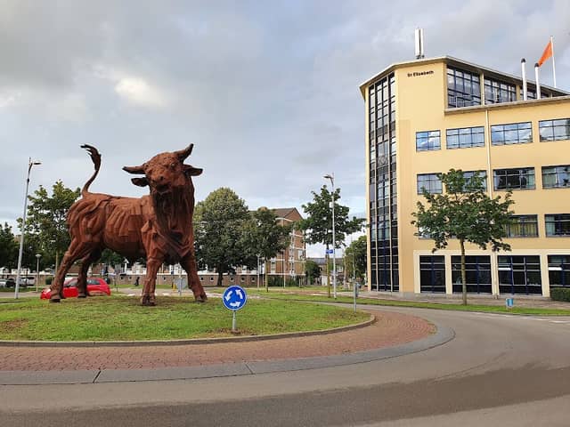 De Stier - Image 2