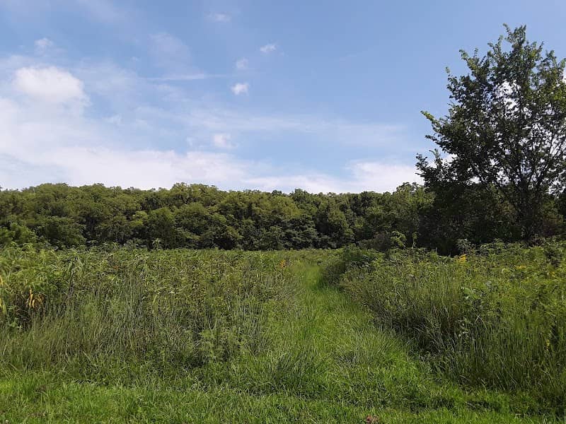 Dorsett Hill Prairie Conservation Area - Image 2