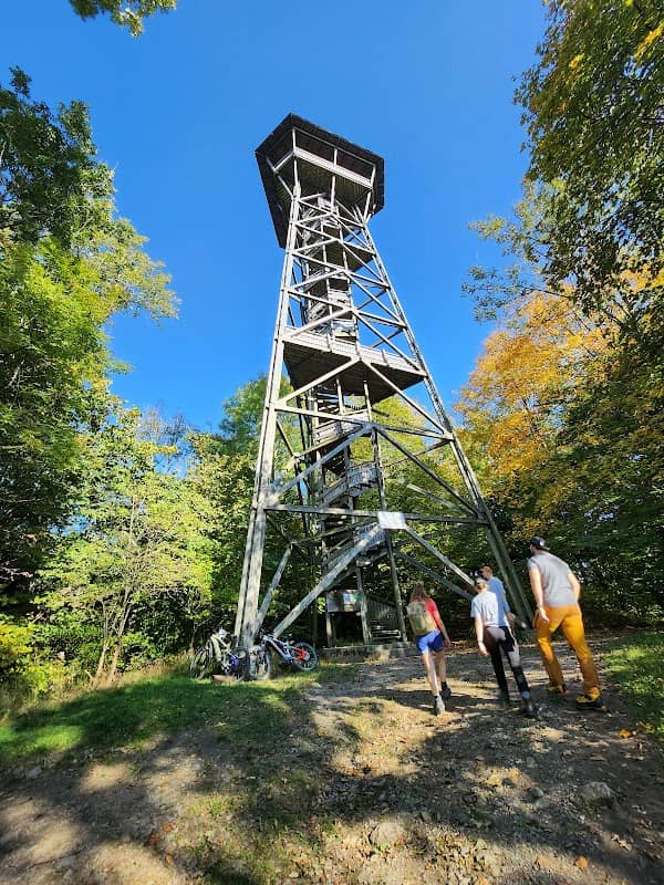Wildnispark Zürich Sihlwald - Image 2
