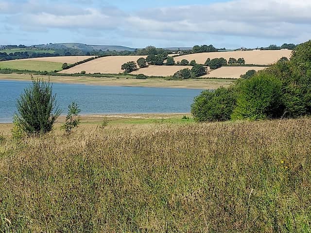Llandegfedd reservoir - Image 1