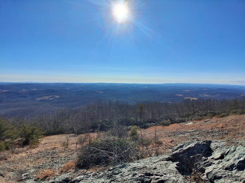 Buffalo Mountain Natural Area Preserve - Image 2