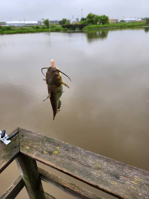 Kelso Park & Pond - Image 1