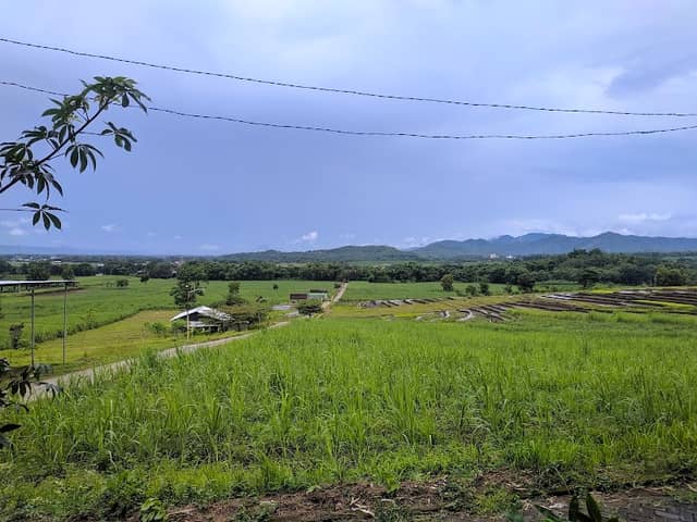 Wisata Atas Awan Banaran - Image 2