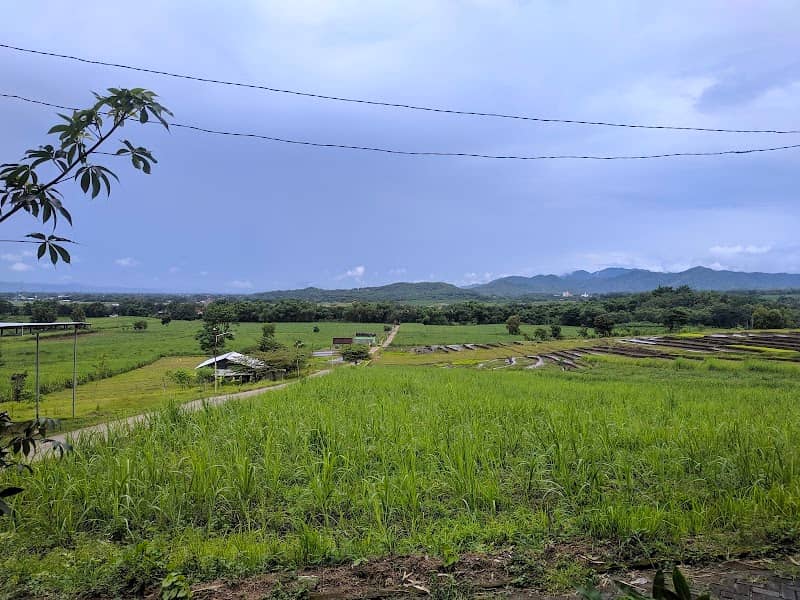 Wisata Atas Awan Banaran - Image 2