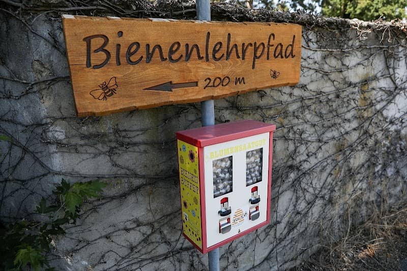 Bienenlehrpfad Egelsbach - Image 2