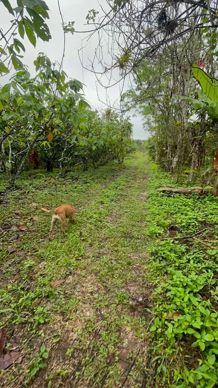 Hacienda Ramos - Image 2