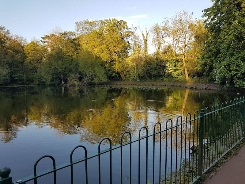 Haden Hill Pond - Image 2