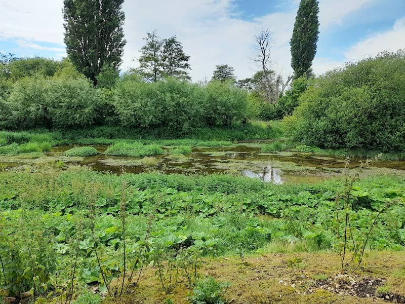 Lemsford Springs - Image 3