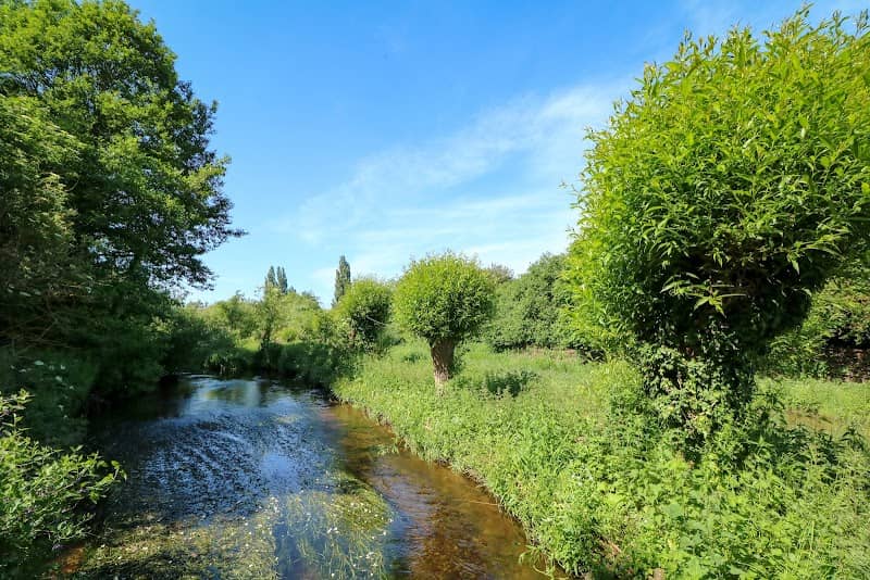 Lemsford Springs - Image 2