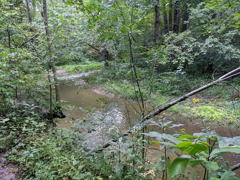 Thorpe Creek Natural Area - Image 2