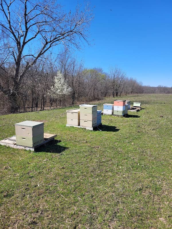 RJS Bee Farm - Image 1