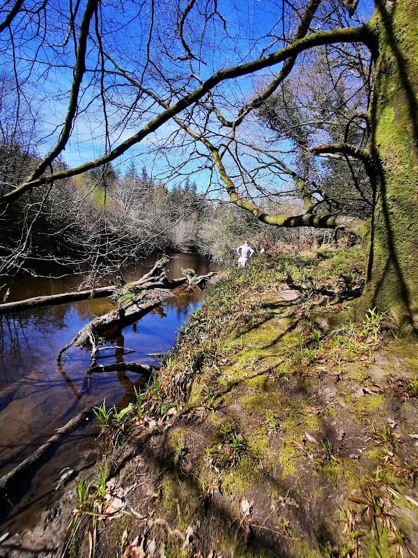 Stump of the castle - Image 1