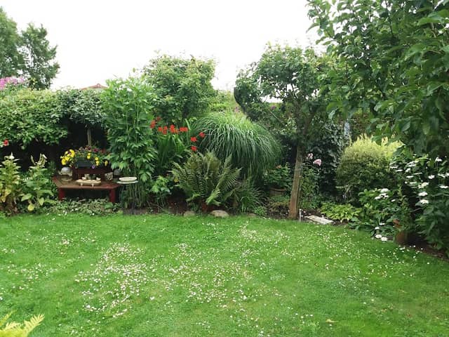 Tuinpark Ruigelaan - Image 1