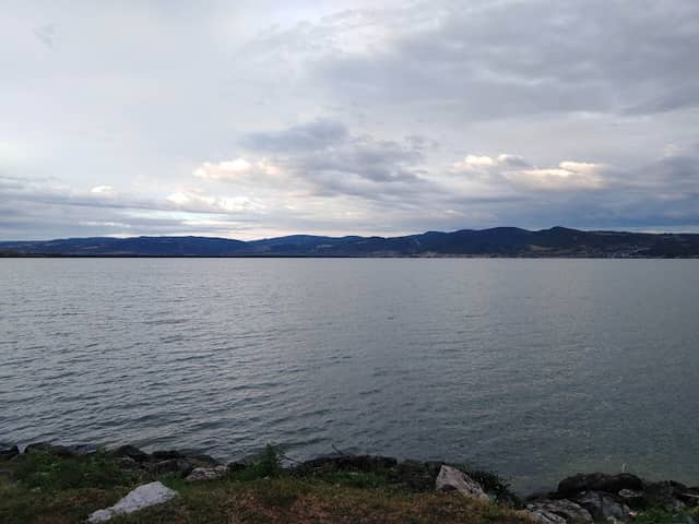 Mol na Dunavu - Image 1
