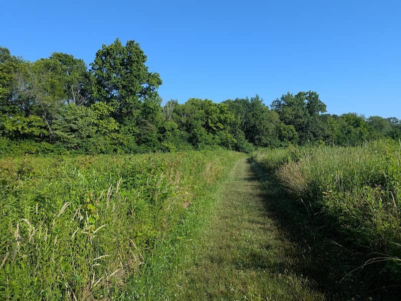 Boone Trace Trail - Image 2