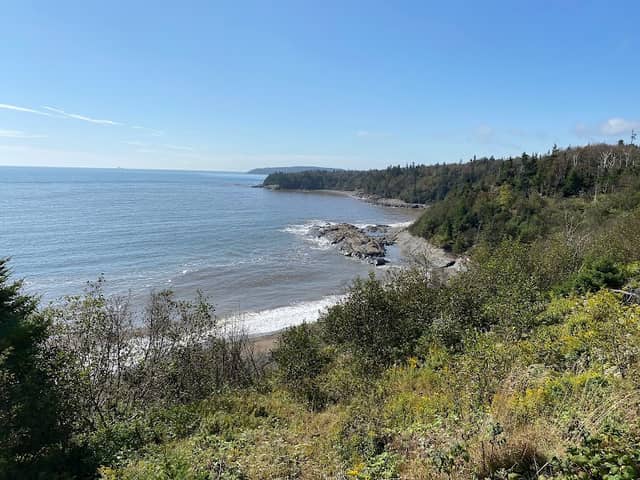 Irving Nature Park - Image 3