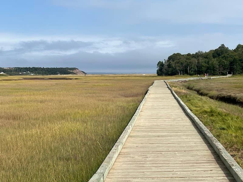 Irving Nature Park - Image 2