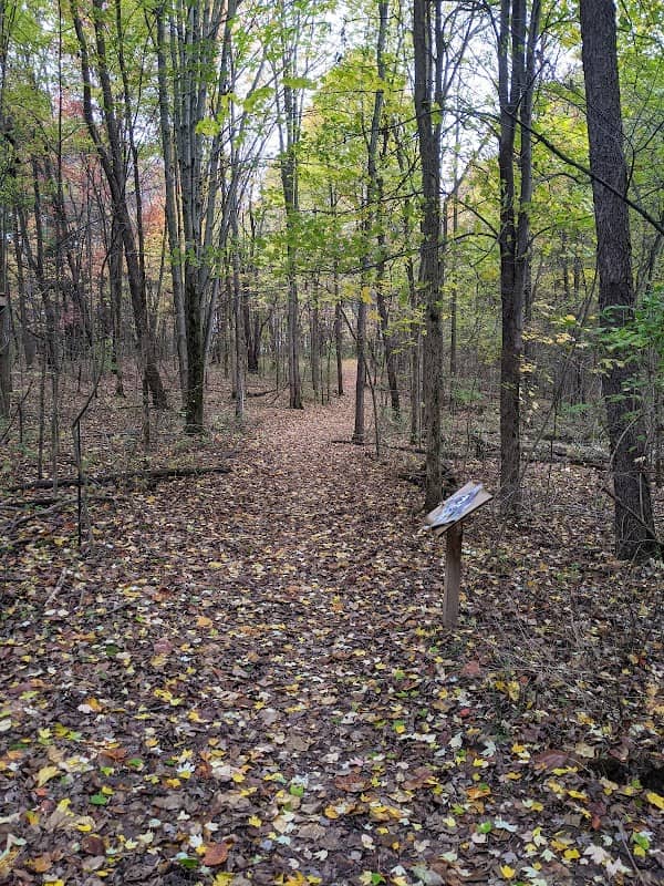 Mill Pointe Park - Image 3