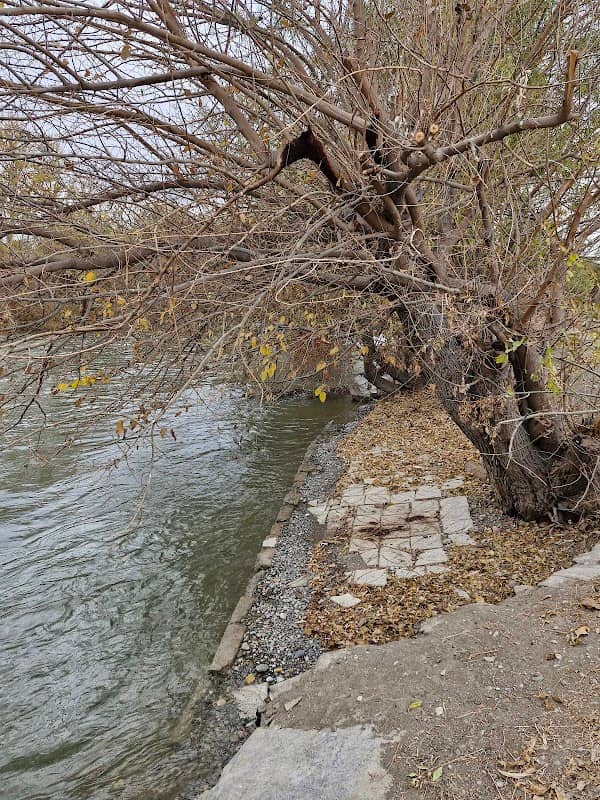 زمین کشاورزی حبیبالله سلیمی - Image 1