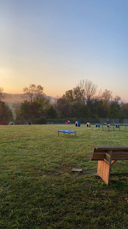 Boyd Foundation Dog Park - Image 1
