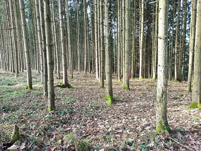 Keltenschanze - Image 1