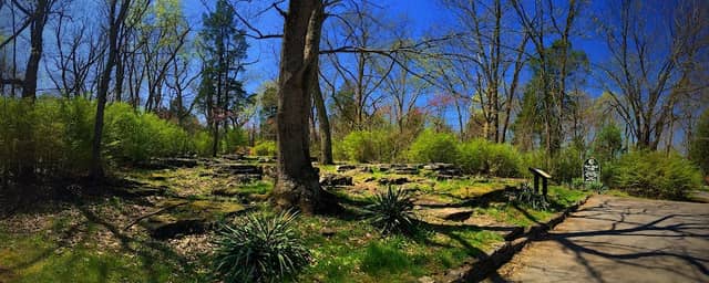 Fort Webb Park - Image 3