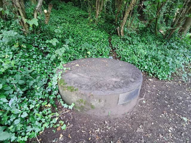 10 Ton Steel Plug Viewing Platform - Image 1