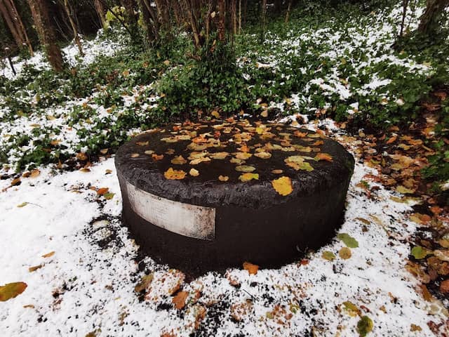 10 Ton Steel Plug Viewing Platform - Image 2