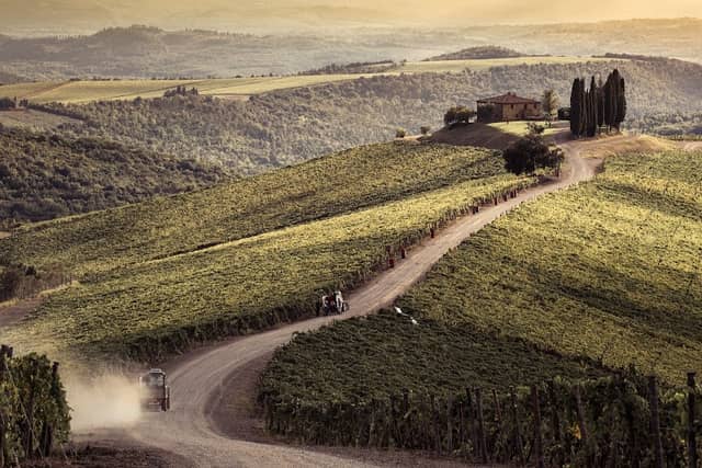 Castiglion del Bosco Winery - Image 1