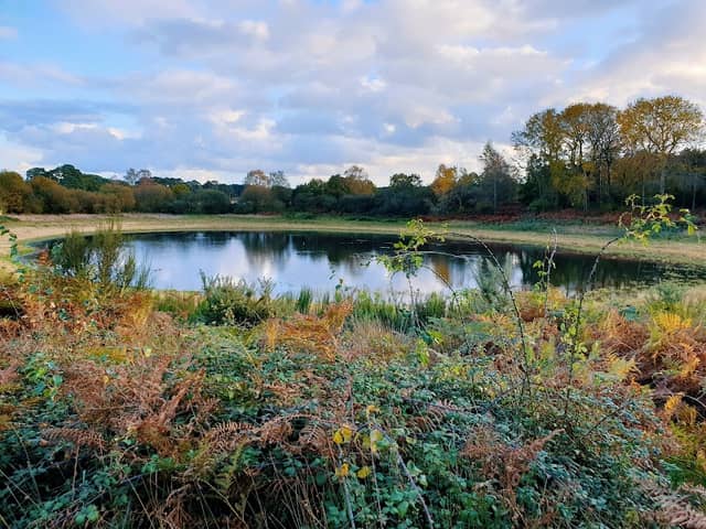 Norfolk Wildlife Trust - East Wretham Heath nature reserve - Image 1