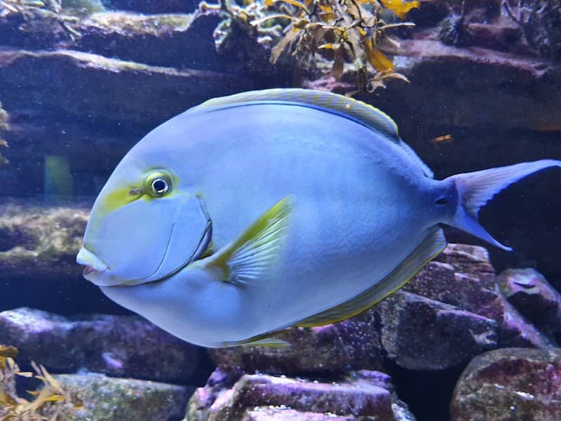 Solitary Islands Aquarium - Image 1