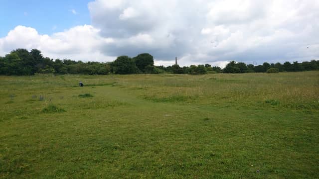 Fort Nelson Downland Area - Image 2
