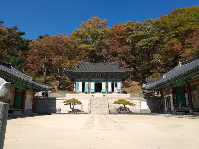 선본사 - Image 1