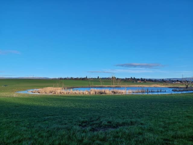 Lobsigensee Nature Reserve - Image 1