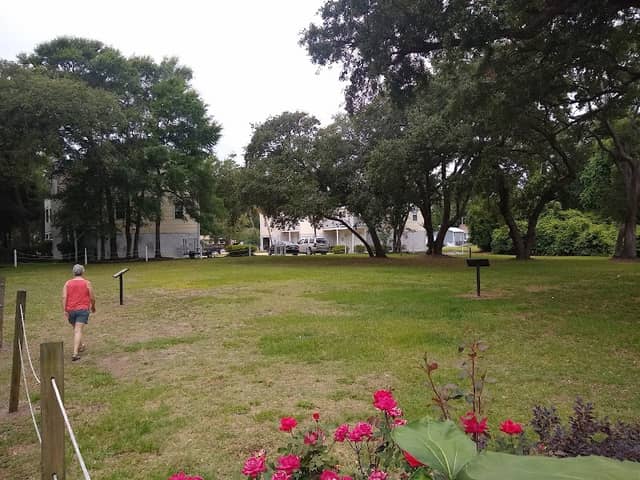 Ark Plantation - Image 2