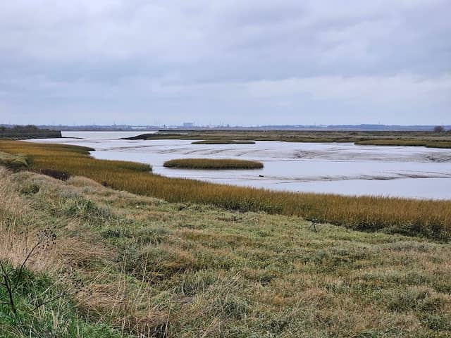 RSPB Cliffe Pools - Image 1